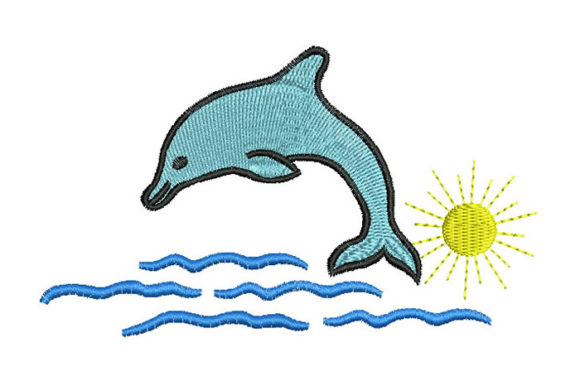 Dolphin on the Beach: A Designer’s Review
