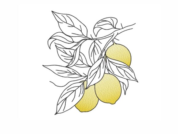 Lemons Embroidery: A Designer’s Review for Boutique Sweatshirts