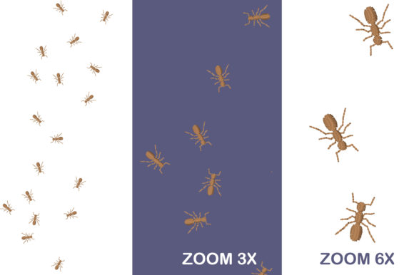 Reviewing Worker Ants Marching for Custom Gifts